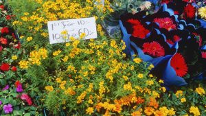 Flowers at a Market Stall